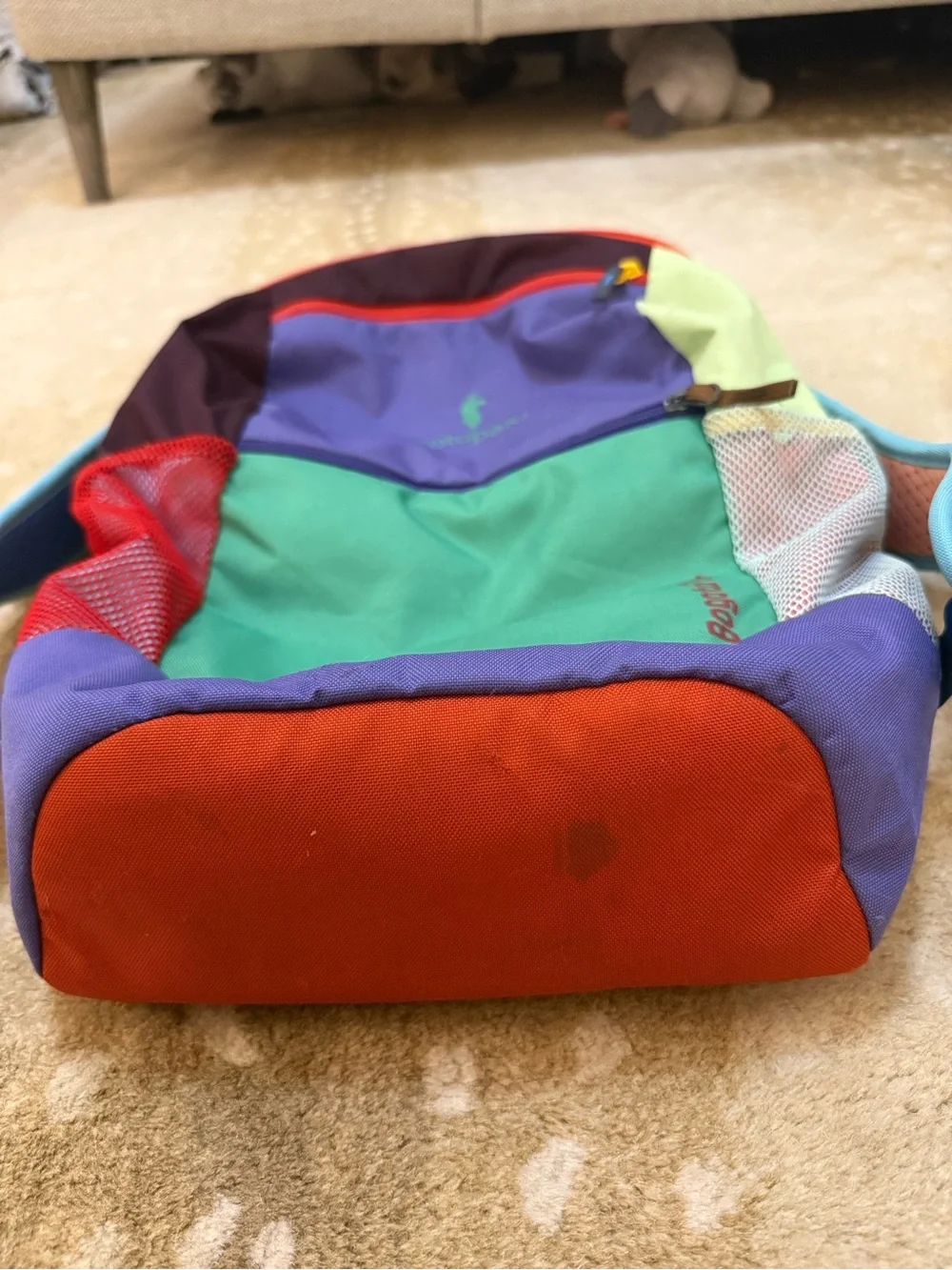Cotopaxi Bogota 20L Del Día Colorblock Backpack Multicolor Hiking Travel